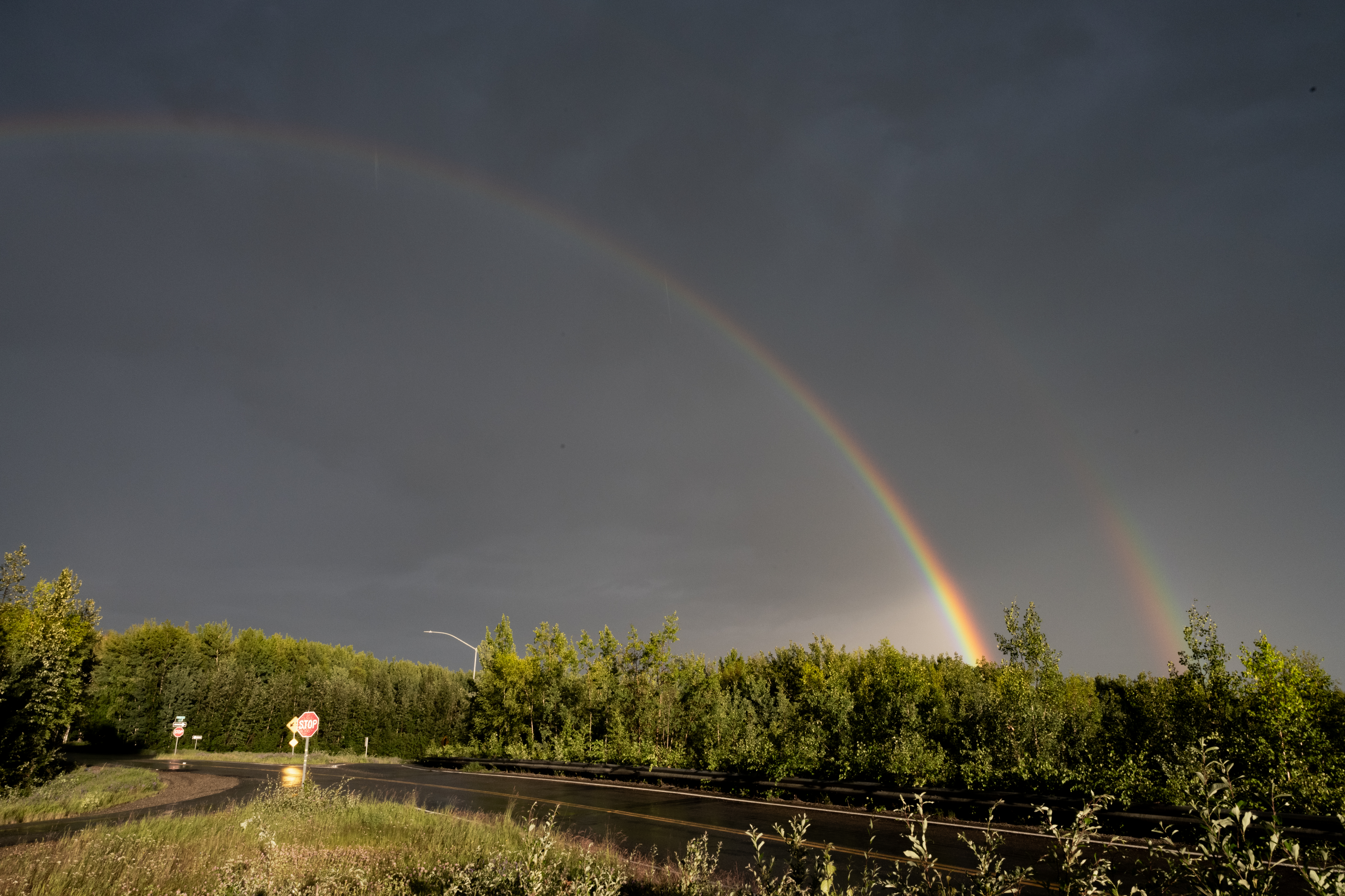 Inside Fairbanks, Alaska: Queer Histories, Off-Grid Living, and a Moose/Car Collision