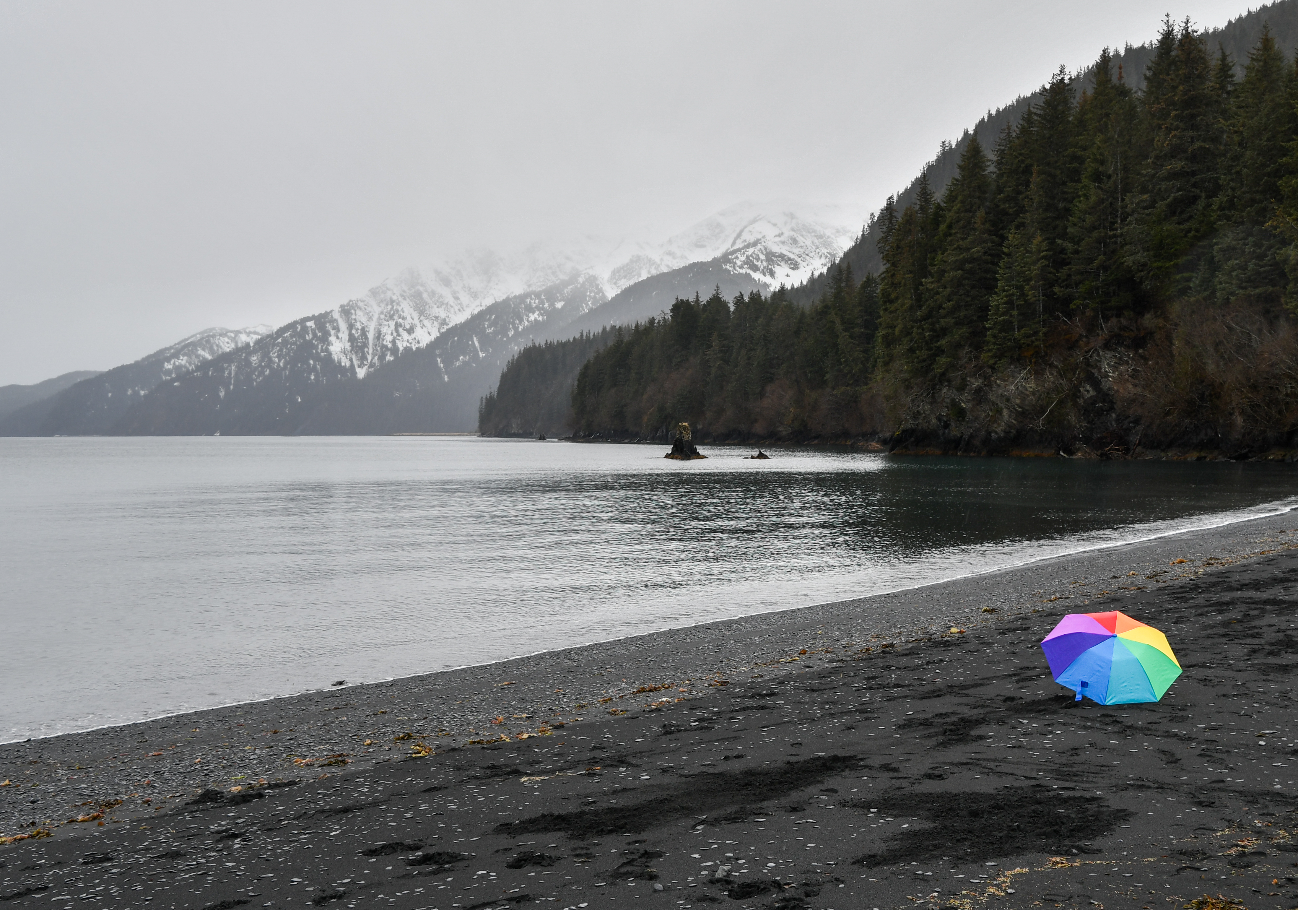 Queer Joy in the Wild: Rainbows over Resurrection Bay, Rainforest BBQs, and a Drag Lumberjack Queen