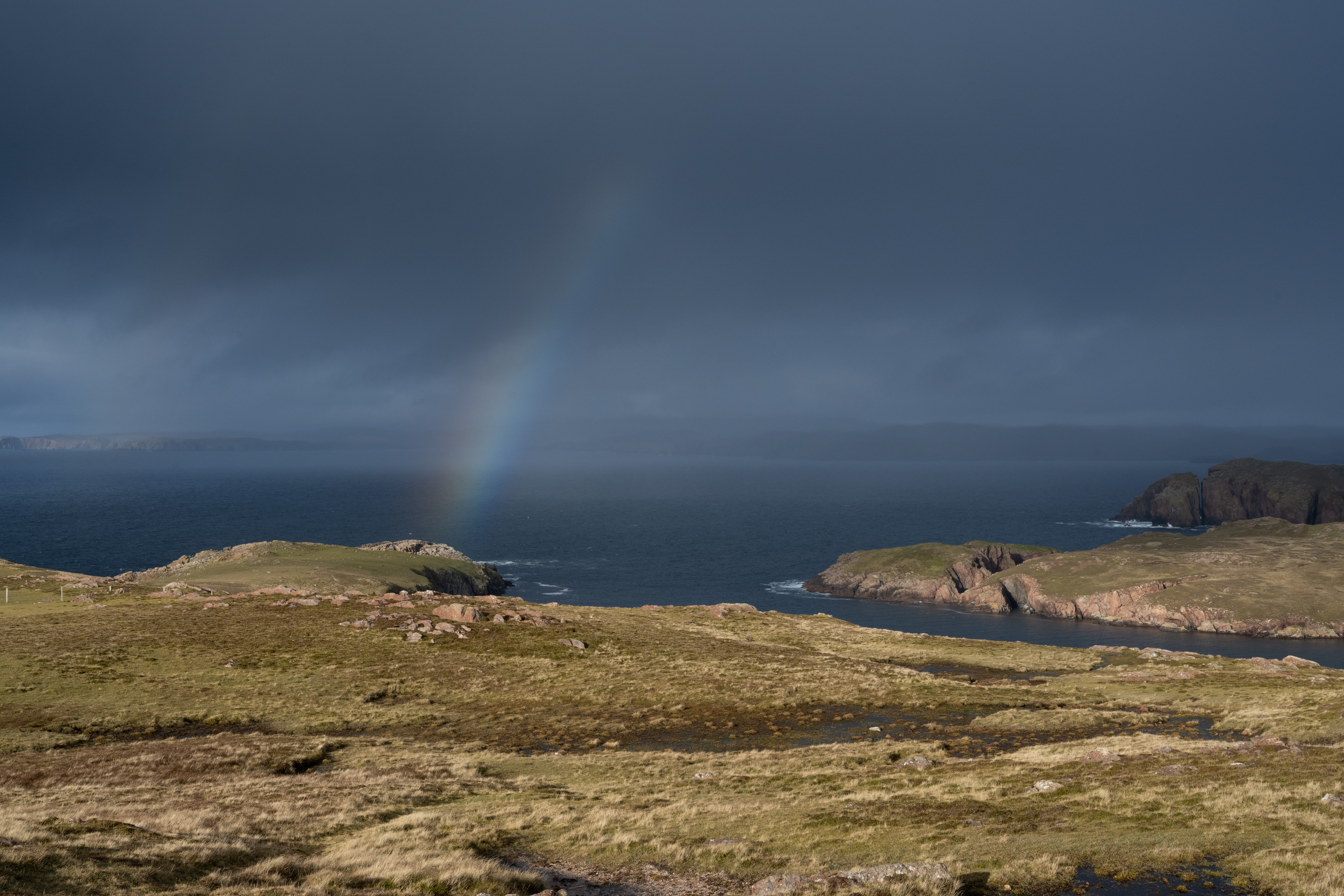 Gender Gems on Rum and Coffee: Raw Flavors of Scottish Queerness